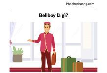 Vị trí Bellboy là gì? Vai trò của Bellboy trong khách sạn Bellhop là gì